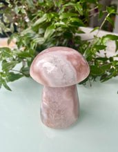 Load image into Gallery viewer, Flower Agate Mushroom