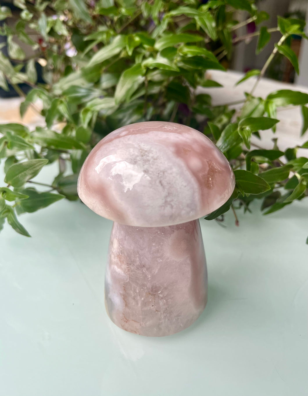 Flower Agate Mushroom