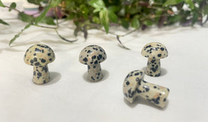 Mini Mushroom | Dalmatian Jasper