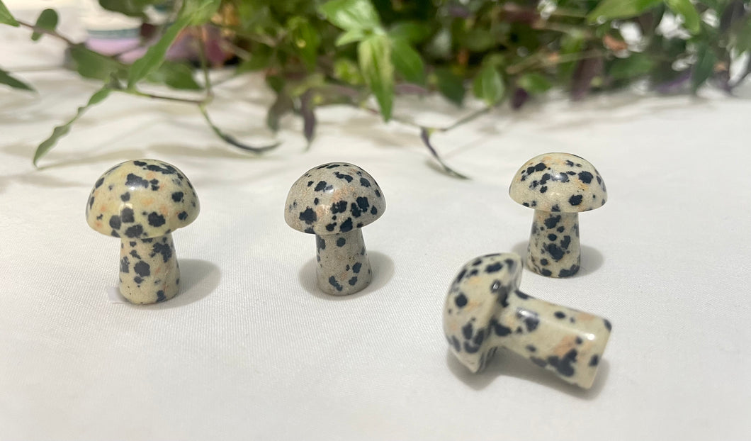 Mini Mushroom | Dalmatian Jasper