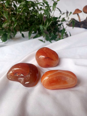 Carnelian Unique Tumble Set