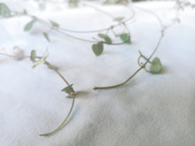 Load image into Gallery viewer, Chain of Hearts | 2