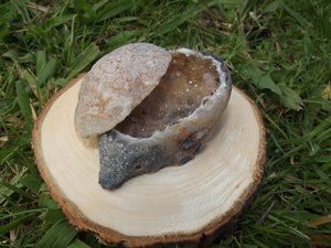 Agate Pot