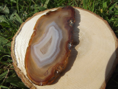 Agate Slice-Orange